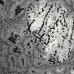 Килим поліпропілен Nirvana, Туреччина 150X230, 2503A 2503 A beyaz/grey, Прямокутник
